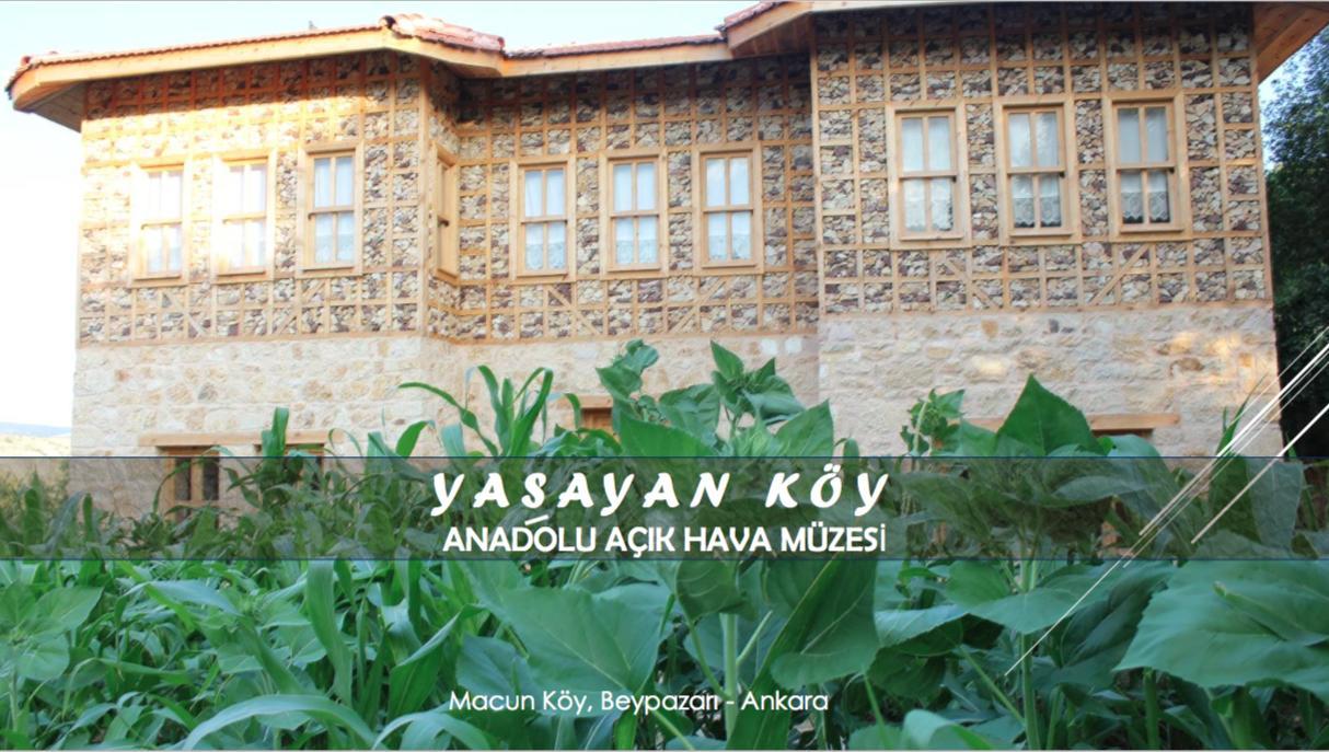 Yasayan Koy Hotel Kizilcasogut Exterior photo